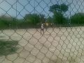 exodus fernandes3 (51)